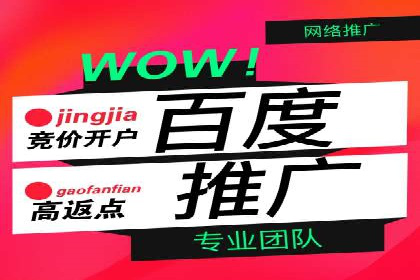 案例解读：网络推广与竞价策略